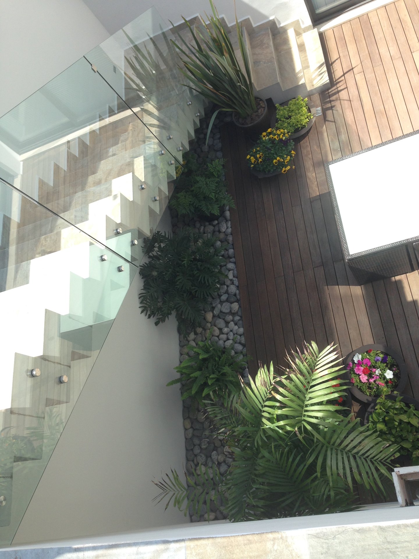 Escalera con jardín vertical y barandal de cristal — Cachay